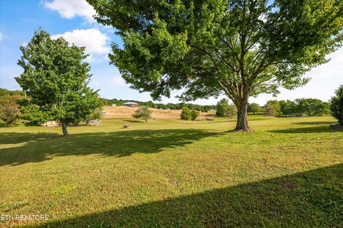 Tiny photo for 1167 Sable Rd, Spring City, TN 37381 (MLS # 1340739)