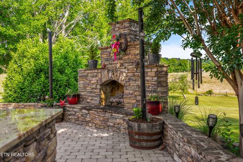 Tiny photo for 1167 Sable Rd, Spring City, TN 37381 (MLS # 1340739)