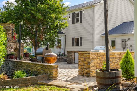 Tiny photo for 1167 Sable Rd, Spring City, TN 37381 (MLS # 1340739)