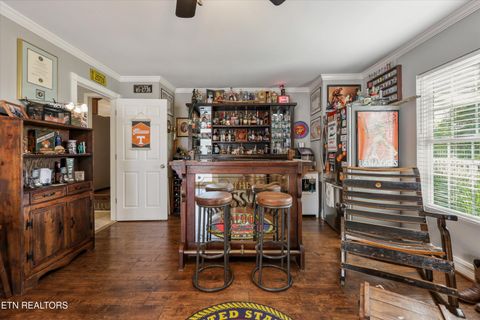 Tiny photo for 1167 Sable Rd, Spring City, TN 37381 (MLS # 1340739)