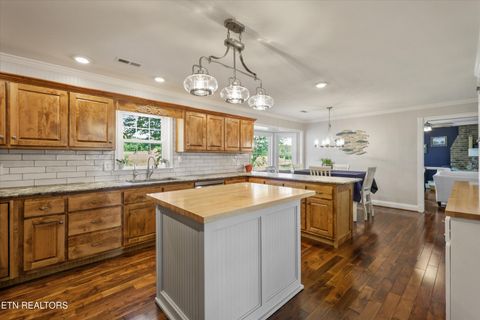 Tiny photo for 1167 Sable Rd, Spring City, TN 37381 (MLS # 1340739)