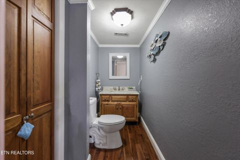 Tiny photo for 1167 Sable Rd, Spring City, TN 37381 (MLS # 1340739)