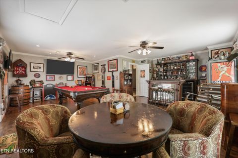Tiny photo for 1167 Sable Rd, Spring City, TN 37381 (MLS # 1340739)
