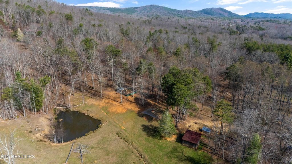 Photo of 575 Ironsburg Rd, Tellico Plains, TN 37385 (MLS # 1334671)