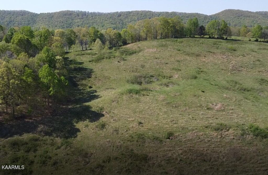 Photo of Mulberry Gap Rd, Tazewell, TN 37879 (MLS # 1199211)