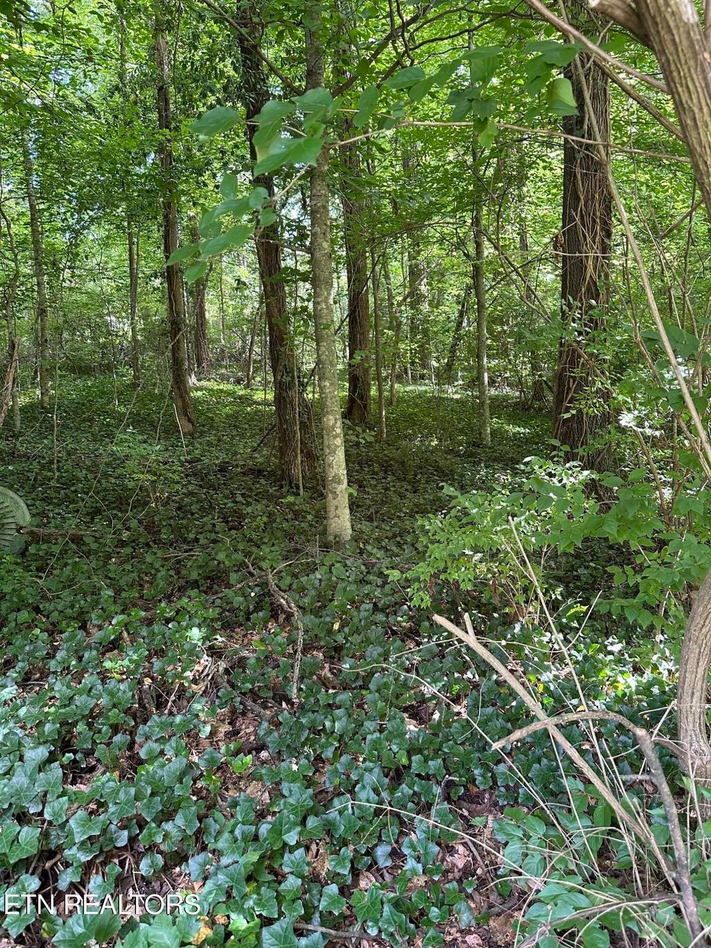 Photo of 2506 Shaler Lane, Knoxville, TN 37920 (MLS # 1349032)
