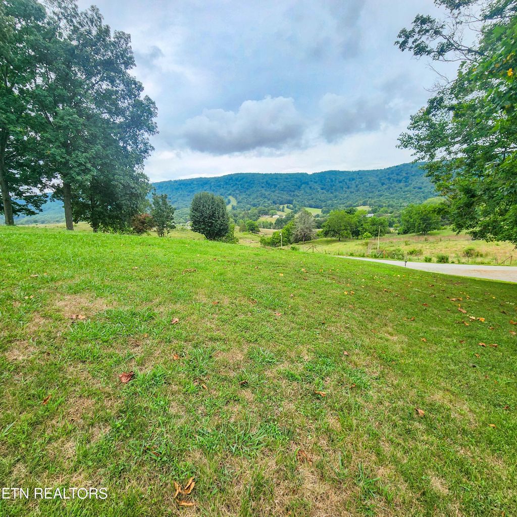 Photo of 1010 Shirley Rd, Washburn, TN 37888 (MLS # 1270961)