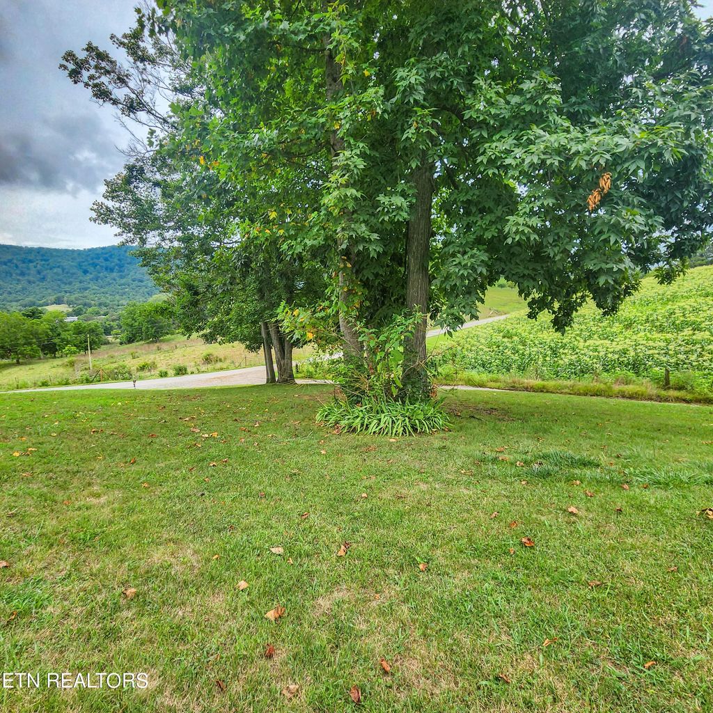 Photo of 1010 Shirley Rd, Washburn, TN 37888 (MLS # 1270961)