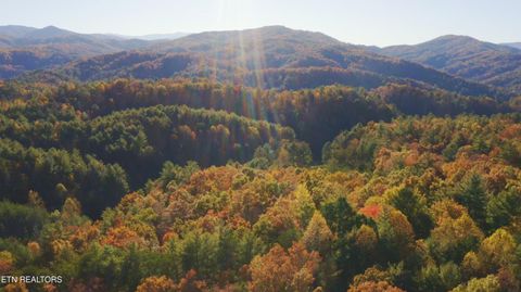 Tiny photo for 410 Seay Hollow Rd, Del Rio, TN 37727 (MLS # 1332623)