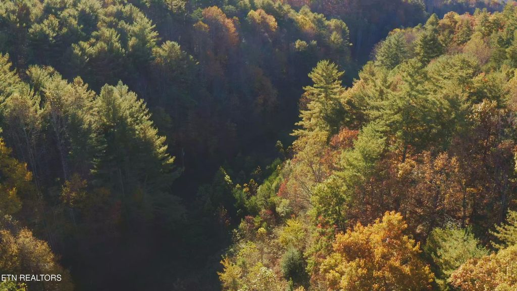 Photo of 410 Seay Hollow Rd, Del Rio, TN 37727 (MLS # 1332623)