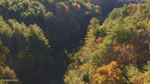 Tiny photo for 410 Seay Hollow Rd, Del Rio, TN 37727 (MLS # 1332623)