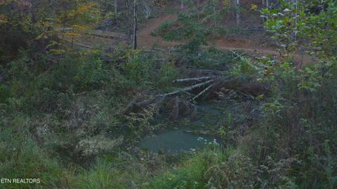 Tiny photo for 410 Seay Hollow Rd, Del Rio, TN 37727 (MLS # 1332623)