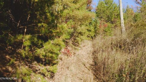 Tiny photo for 410 Seay Hollow Rd, Del Rio, TN 37727 (MLS # 1332623)