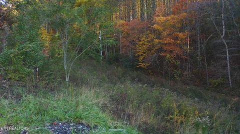 Tiny photo for 410 Seay Hollow Rd, Del Rio, TN 37727 (MLS # 1332623)