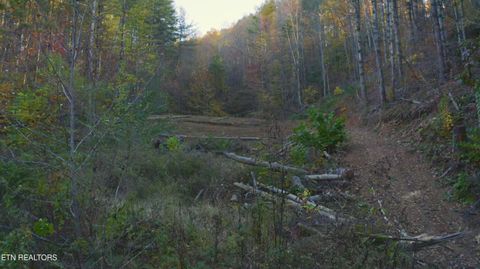 Tiny photo for 410 Seay Hollow Rd, Del Rio, TN 37727 (MLS # 1332623)