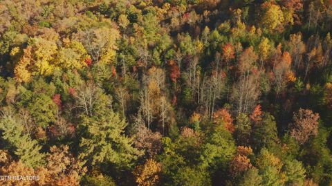 Tiny photo for 410 Seay Hollow Rd, Del Rio, TN 37727 (MLS # 1332623)