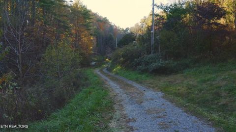 Tiny photo for 410 Seay Hollow Rd, Del Rio, TN 37727 (MLS # 1332623)