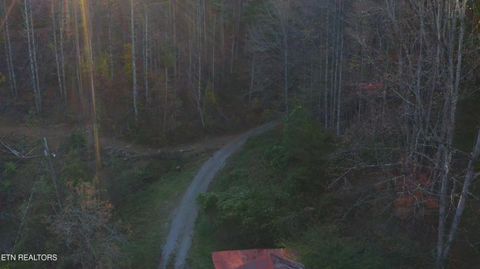 Tiny photo for 410 Seay Hollow Rd, Del Rio, TN 37727 (MLS # 1332623)