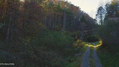 Tiny photo for 410 Seay Hollow Rd, Del Rio, TN 37727 (MLS # 1332623)