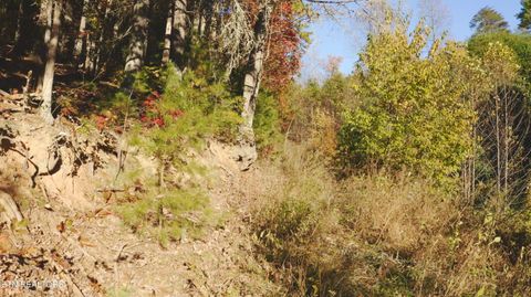 Tiny photo for 410 Seay Hollow Rd, Del Rio, TN 37727 (MLS # 1332623)