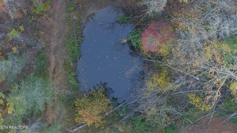 Tiny photo for 410 Seay Hollow Rd, Del Rio, TN 37727 (MLS # 1332623)