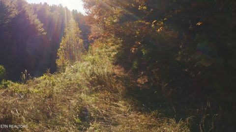 Tiny photo for 410 Seay Hollow Rd, Del Rio, TN 37727 (MLS # 1332623)