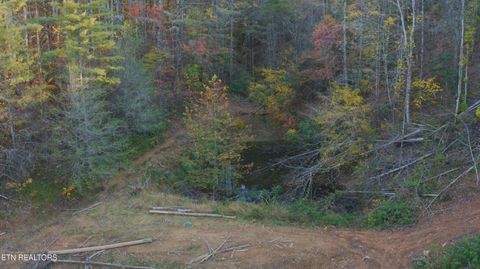 Tiny photo for 410 Seay Hollow Rd, Del Rio, TN 37727 (MLS # 1332623)