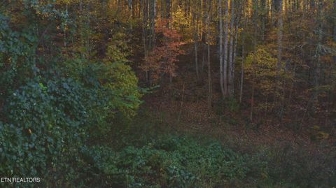 Tiny photo for 410 Seay Hollow Rd, Del Rio, TN 37727 (MLS # 1332623)