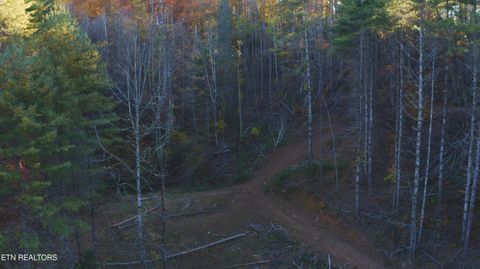 Tiny photo for 410 Seay Hollow Rd, Del Rio, TN 37727 (MLS # 1332623)