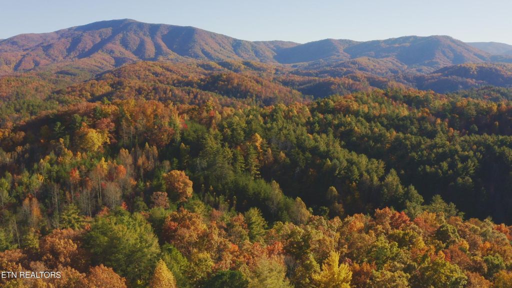 Photo of 410 Seay Hollow Rd, Del Rio, TN 37727 (MLS # 1332623)