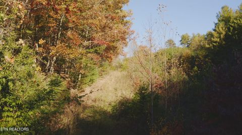 Tiny photo for 410 Seay Hollow Rd, Del Rio, TN 37727 (MLS # 1332623)