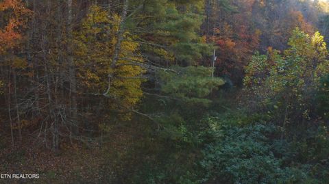 Tiny photo for 410 Seay Hollow Rd, Del Rio, TN 37727 (MLS # 1332623)