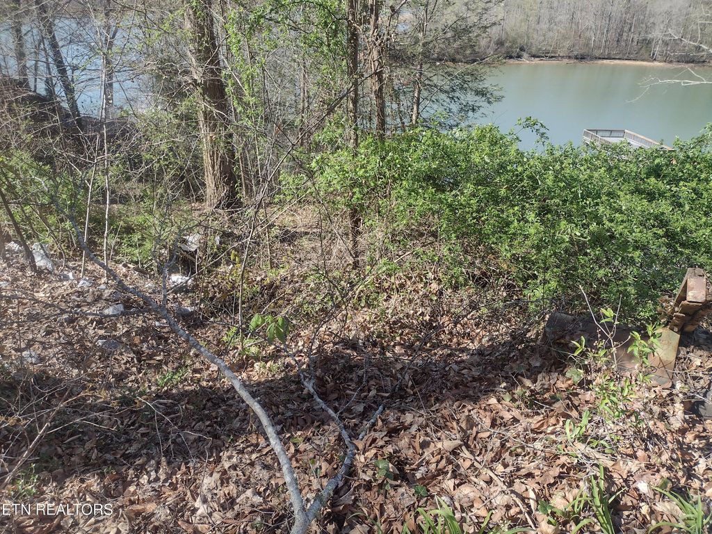 Photo of 0 Sportsmans Club Rd, Harriman, TN 37748 (MLS # 1308253)