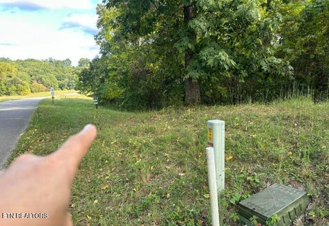 Tiny photo for Smokey Quartz Blvd, New Tazewell, TN 37825 (MLS # 1360253)