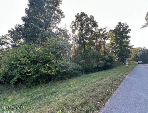 Tiny photo for Smokey Quartz Blvd, New Tazewell, TN 37825 (MLS # 1360253)