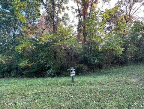 Tiny photo for Smokey Quartz Blvd, New Tazewell, TN 37825 (MLS # 1360253)