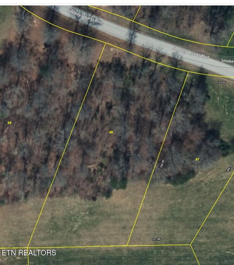 Tiny photo for Smokey Quartz Blvd, New Tazewell, TN 37825 (MLS # 1360253)