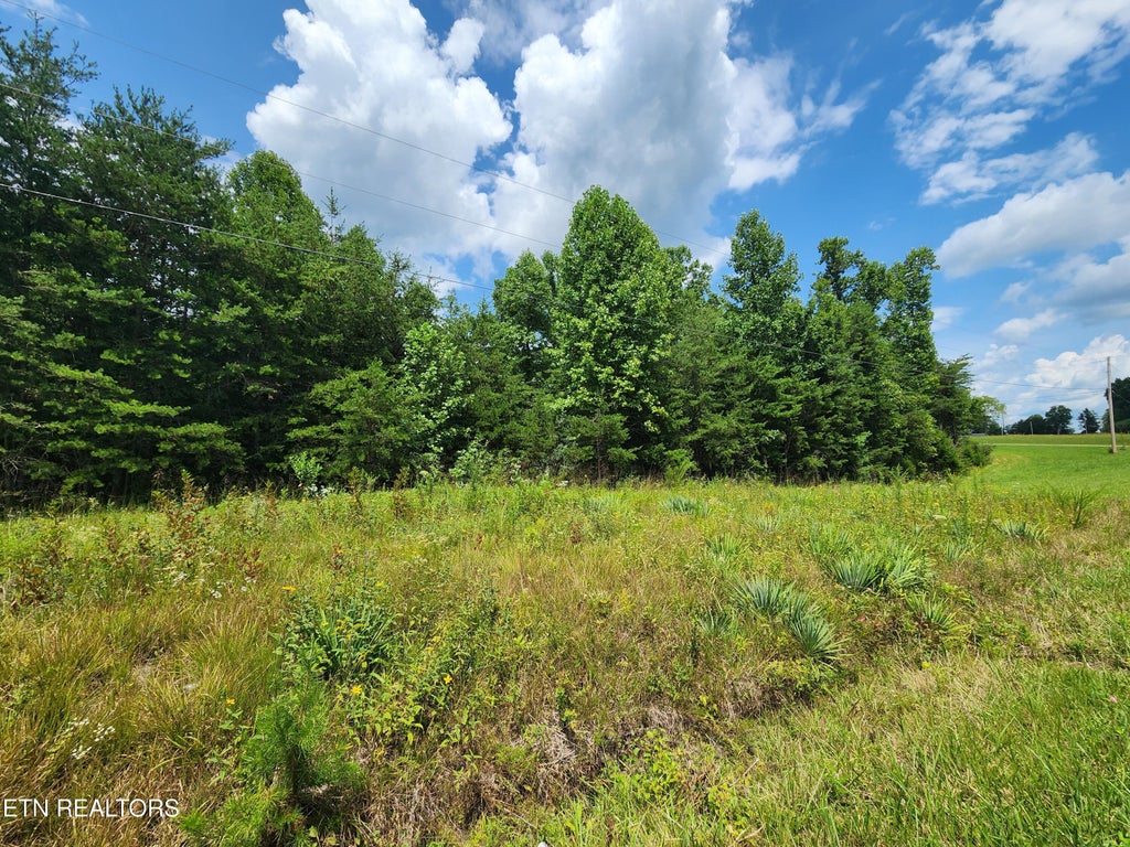 Photo of Twin Bridge Rd, Deer Lodge, TN 37726 (MLS # 1353194)