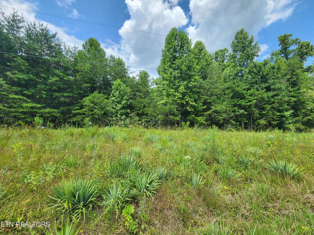Photo of Twin Bridge Rd, Deer Lodge, TN 37726 (MLS # 1353194)