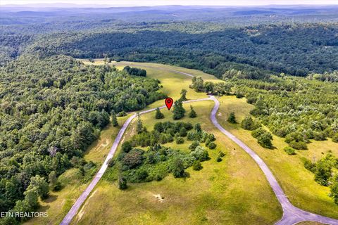 Tiny photo for Highway 62, Deer Lodge, TN 37726 (MLS # 1330983)