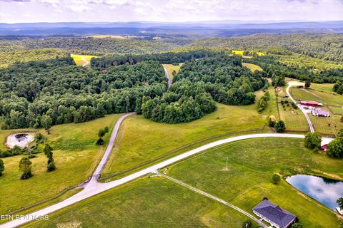 Tiny photo for Highway 62, Deer Lodge, TN 37726 (MLS # 1330983)