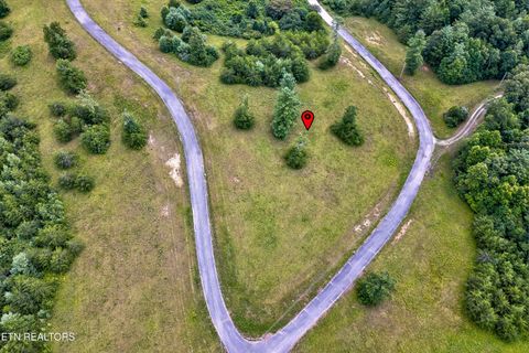 Tiny photo for Highway 62, Deer Lodge, TN 37726 (MLS # 1330983)