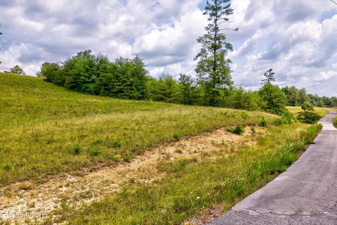 Tiny photo for Highway 62, Deer Lodge, TN 37726 (MLS # 1330983)