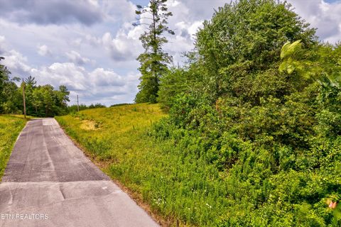 Tiny photo for Highway 62, Deer Lodge, TN 37726 (MLS # 1330983)