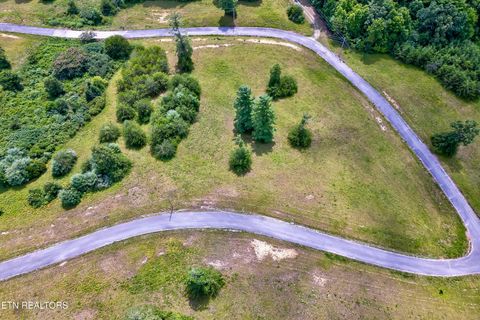 Tiny photo for Highway 62, Deer Lodge, TN 37726 (MLS # 1330983)