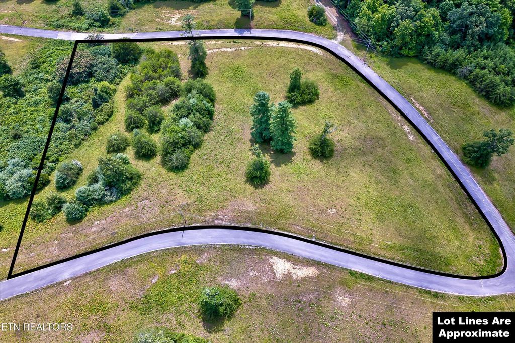 Photo of Highway 62, Deer Lodge, TN 37726 (MLS # 1330983)