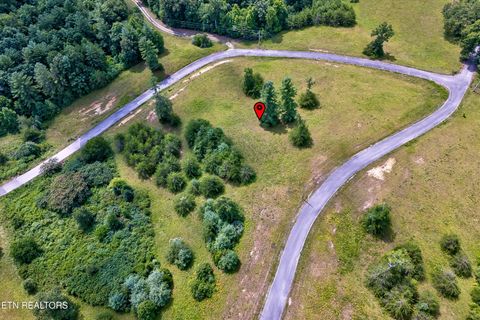 Tiny photo for Highway 62, Deer Lodge, TN 37726 (MLS # 1330983)