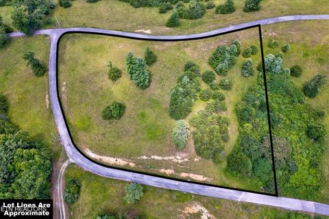 Tiny photo for Highway 62, Deer Lodge, TN 37726 (MLS # 1330983)