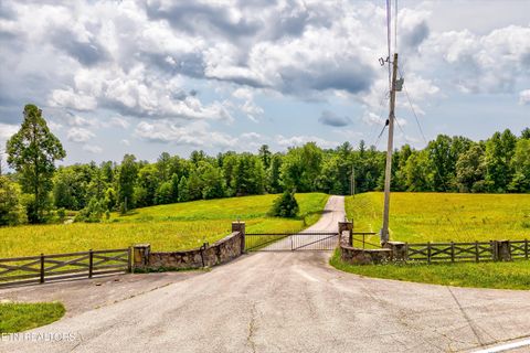 Tiny photo for Highway 62, Deer Lodge, TN 37726 (MLS # 1330983)