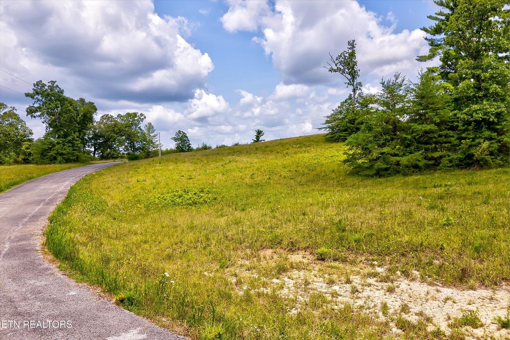 Photo of Highway 62, Deer Lodge, TN 37726 (MLS # 1330983)